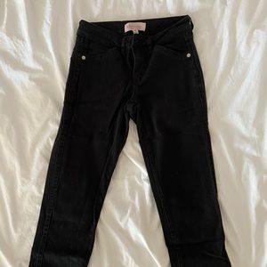 2Petite Black Plants